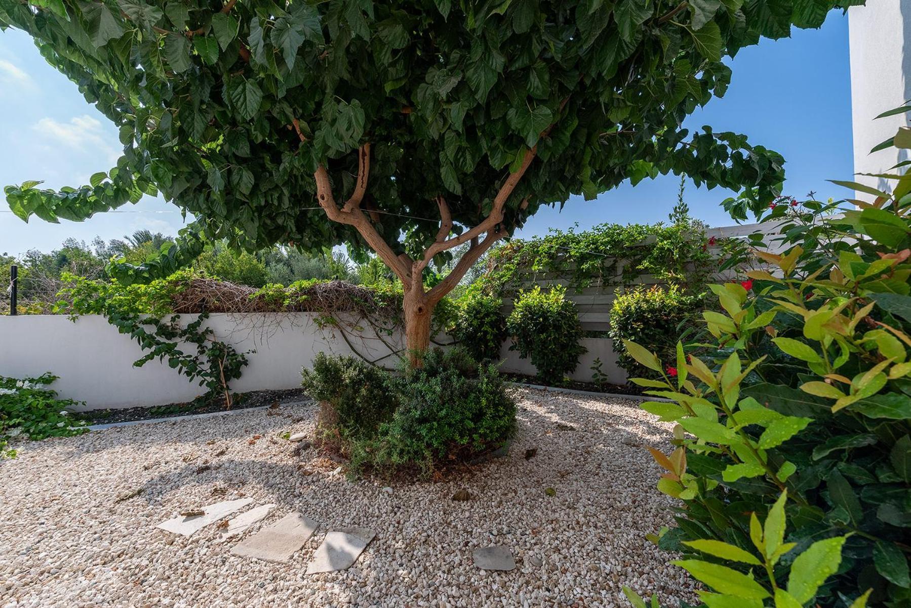 Blue Diamond Beach Villas Paphos Extérieur photo